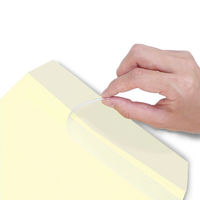 透けない封筒テープ付　角2 シークレット99 クリーム　500枚 ムトウユニパック