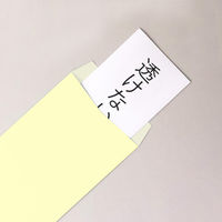 透けない封筒テープなし　長3 シークレット99 クリーム　1箱（1000枚） ムトウユニパック