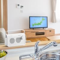 サンワダイレクト テレビスピーカー(ワイヤレス・テレビ用・手元スピーカー・充電式・最大30m・ホワイト) 400-SP083W 1個（直送品）