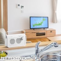 サンワダイレクト テレビスピーカー(ワイヤレス・テレビ用・手元スピーカー・充電式・最大30m・ブラック) 400-SP083BK 1個（直送品）