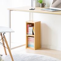 サンワダイレクト メディアラック（2段・木製・収納ラック・隙間収納・スリムラック・ライトブラウン） 200-FCD060LBR 1個（直送品）