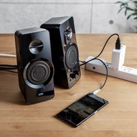 PCスピーカー(パソコンスピーカー・高出力36W・USB電源・テレビスピーカー・ハイパワースピーカー) 400-SP082 1個（直送品）