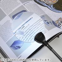 サンワダイレクト スタンドルーペ（拡大鏡・LEDライト付・クリップ対応・レンズ径11cm・クリップ付アーム付属） 400-LPE016 1個（直送品）