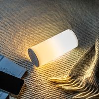 サンワダイレクト LEDライト(ランタン・6段階調整・充電式・タッチパネル・昼白色・電球色・リバーシブル) 800-LED025 1本（直送品）