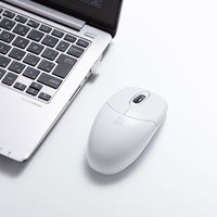 サンワダイレクト ワイヤレスマウス（防水・防塵・IP68・抗菌・静音・IRセンサー・1600カウント） 400-MA113W 1個（直送品）