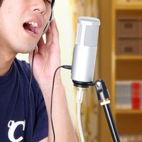 サンワダイレクト スタンドマイク（USB・単一指向性・コンデンサータイプ・高音質） 400-MC002 1個（直送品）