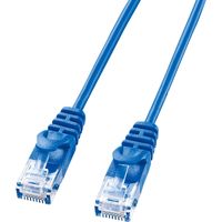 サンワダイレクト Cat6 スリムLANケーブル 1m （カテゴリー6・より線・ストレート・ブルー） 500-LAN6SL01BL 1本（直送品）