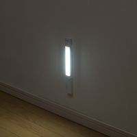 サンワダイレクト センサーLEDライト（USB充電式・人感センサー・小型・マグネット・LEDライト・50ルーメン） 800-LED020 1個（直送品）