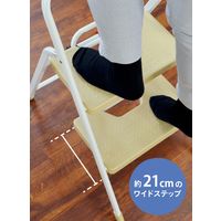 シービージャパン フォールディングステップ 3段 ブラウン 4582106471466 1個