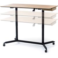 サンワサプライ ガス昇降ミーティングデスク 幅1500×奥行800×高さ765～1165mm ブラック ERD-MTGA15080LM 1台（直送品）