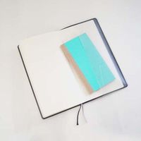 プリントインフォームジャパン ふせんの手帖 [表紙：ターコイズ] 1179-0003-0570 1セット（2個）（直送品）