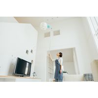 山崎産業 コンドル　2989.jp+ ムーンダスターNF-EX 2段  高所用ホコリ払い 1箱（1本入）