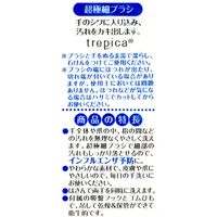 手洗い習慣トレピカ BX191 10個 アイセン（直送品）