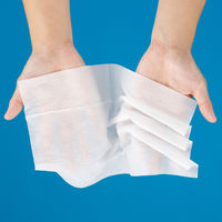 【おしりふき】【大人用/流せない】サラヤ　温められるウェットタオル　1箱（40枚入×24パック）