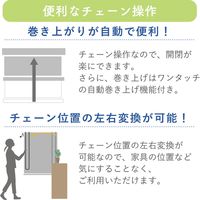 【幅1cm単位】プロ仕様「遮光」ロールスクリーン幅157cm×高241～280cm＜チェーン式＞ tr4512-157x280-r200 トーソー（直送品）