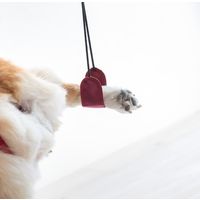 ドギーサポーターS DGS-S ピカコーポレイション（直送品）