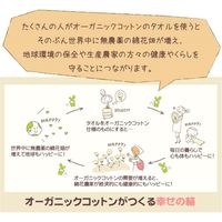 林 フェイスタオル オーガニックコットン ナウアニマル 10枚セット しろくま ベージュ FJ802728（直送品）