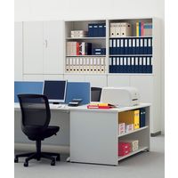 ライオン事務器 パイプ式ファイル No.733CL(CH) 10869 1冊