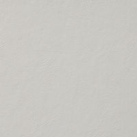 ライオン事務器 スモールファイル NFー36 12035 1冊