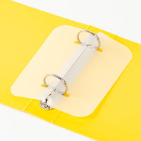 ライオン事務器 ペットファイル No.60 A5E 黄 12513 3冊