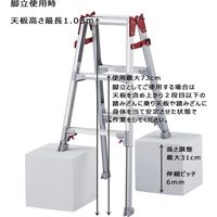 長谷川工業 はしご兼用伸縮脚立 RYZ-09a（直送品）