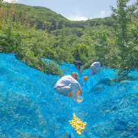 【ロハコ・アスクル限定】紀州 石神の梅干 白干梅 完熟南高梅使用 1セット（1個×24）濱田 オリジナル ご飯のおとも 梅ぼし オリジナル