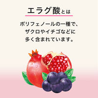 伊藤園 ザクロミックス エコパック (紙パック) 200ml 1箱（24本入）