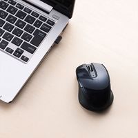 ワイヤレスマウス　無線　5ボタン　中型サイズ　ブルーLED　MA-WBL170BK　サンワサプライ　1個（直送品）