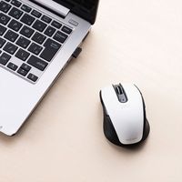 ワイヤレスマウス　無線　5ボタン　中型サイズ　ブルーLED　MA-WBL170W　サンワサプライ　1個（直送品）