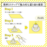 エレコム 撮影用背景シート/MONOTONE/A3/6枚入 DGA-BPA301 1セット(6枚入)