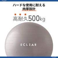 エレコム バランスボール/65cm/グレー HCF-BB65GY 1個（直送品）