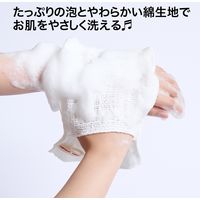 サンベルム ボディケアミトン B34613 1セット(5個)（直送品）