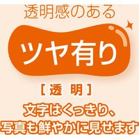 マグエックス マグネットカードケース ツヤ有り A5 MCARD-A5G 1セット(2枚)
