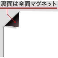 マグエックス マグネットロール 白ツヤ620幅10m巻 MSGR-08-600-10-WT 1巻