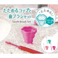 マーナ たためるコップと歯ブラシセット フラワー・LP B015LP 1セット(6個)（直送品）