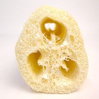 マーナ へちま・ひも付 B911 1セット(10個)（直送品）