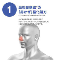 ストナジェルサイナスEX 30カプセル 佐藤製薬  風邪薬  鼻かぜ 鼻水 鼻づまり のどの痛み せき【指定第2類医薬品】