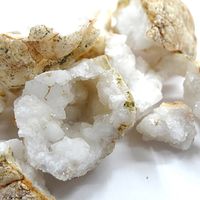 Geoworld 石を割ろう！ジオードクラッキング 20個入り 8033576219523（直送品）