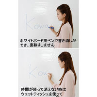 コーワライティングシート 12枚入り 白 1本（12シート入） 光和インターナショナル（わけあり品）