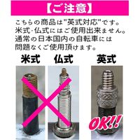 渋谷 アルミハンディ自転車ポンプ 4514910504269 1個