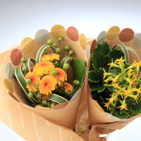 ニトムズ STALOGY マスキングシール丸16mmシャッフルライズ S2237 1パック 146-6237