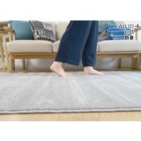 スミノエ 防炎 防音ラグ カーム 200×250cm ベージュ 4549781001203 1枚