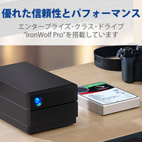 HDD 外付け 16TB 据え置き 5年保証 2big RAID USB-C STHJ16000800 LaCie 1個（直送品）