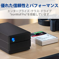 HDD 外付け 8TB 据え置き 5年保証 2big RAID USB-C STHJ8000800 LaCie 1個（直送品）