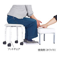 西村製作所 フットチェア ブラウン 60637 1個 62-3873-94　　ナビスカタログ（直送品）