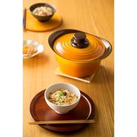 アイリスオーヤマ 無加水鍋 MKSS-P20（521110）（直送品）