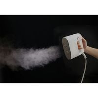 アイリスオーヤマ 衣類スチーマー IRS-01-WPG（572998）（直送品）