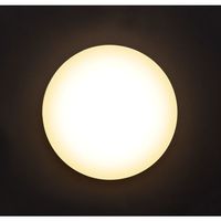 アイリスオーヤマ 小型シーリングライト 薄形1200lm 電球色 SCL12L-UU(272425) 1個