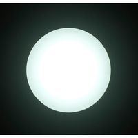 アイリスオーヤマ 小型シーリングライト 薄形1200lm 昼光色 SCL12D-UU(572427) 1個