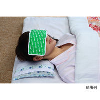 富士商 ホット&クールパッド Sサイズ グリーン F9865 1個 63-3000-35（直送品）